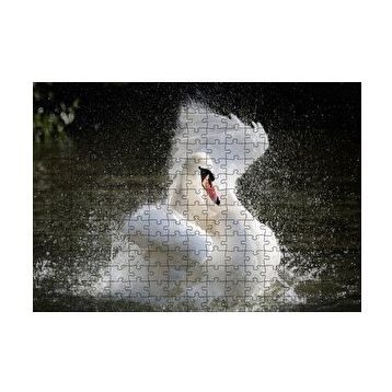 Cakapuzzle Gölde Kanatlarını Temizleyen Beyaz Kuğu 120 Parça Ahşap Puzzle