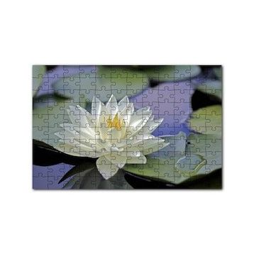 Cakapuzzle Gölde Nilüfer Çiçeği ve Yaprakları 120 Parça Ahşap Puzzle