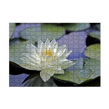 Cakapuzzle Gölde Nilüfer Çiçeği ve Yaprakları 120 Parça Ahşap Puzzle