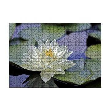 Cakapuzzle Gölde Nilüfer Çiçeği ve Yaprakları 120 Parça Ahşap Puzzle