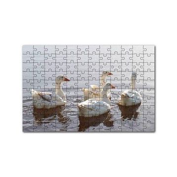 Cakapuzzle Gölde Süzülen Kazlar ve Güneş Işıkları Puzzle