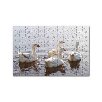 Cakapuzzle Gölde Süzülen Kazlar ve Güneş Işıkları Puzzle