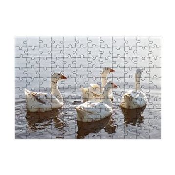 Cakapuzzle Gölde Süzülen Kazlar ve Güneş Işıkları Puzzle