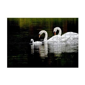 Cakapuzzle Gölde Yüzen Bir Çift Kuğu ve Yavruları 120 Parça Ahşap Puzzle