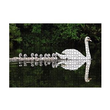 Cakapuzzle Gölde Yüzen Bir Çift Kuğu ve Yavruları 120 Parça Ahşap Puzzle