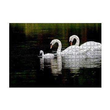 Cakapuzzle Gölde Yüzen Bir Çift Kuğu ve Yavruları 120 Parça Ahşap Puzzle