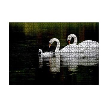Cakapuzzle Gölde Yüzen Bir Çift Kuğu ve Yavruları 120 Parça Ahşap Puzzle