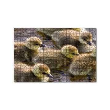 Cakapuzzle Gölde Yüzen Sarı Ördek Yavruları 120 Parça Ahşap Puzzle
