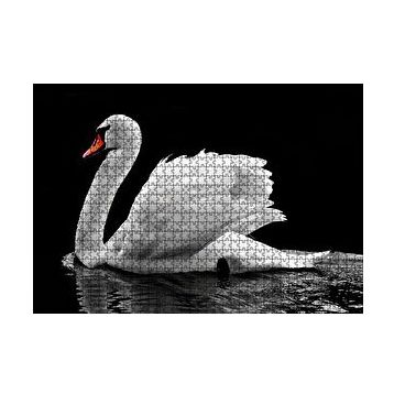 Cakapuzzle Göldeki Beyaz Kuğu Monochrome 120 Parça Ahşap Puzzle