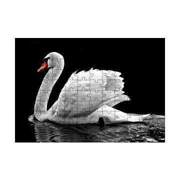 Cakapuzzle Göldeki Beyaz Kuğu Monochrome 120 Parça Ahşap Puzzle