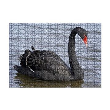 Cakapuzzle Göldeki İhtişamlı Siyah Kuğu 120 Parça Ahşap Puzzle