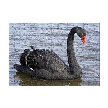Cakapuzzle Göldeki İhtişamlı Siyah Kuğu 120 Parça Ahşap Puzzle