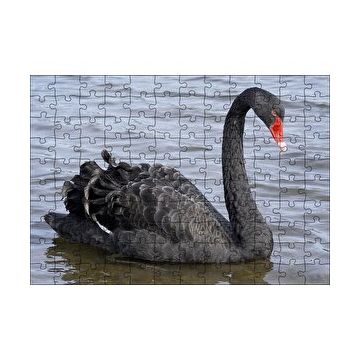 Cakapuzzle Göldeki İhtişamlı Siyah Kuğu 120 Parça Ahşap Puzzle