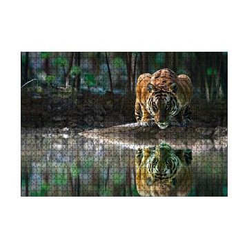 Cakapuzzle Göldeki Kaplan Yansıması Görseli 120 Parça Ahşap Puzzle