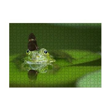 Cakapuzzle Göldeki Yeşil Kurbağa ve Üzerindeki Kelebek 120 Parça Ahşap Puzzle