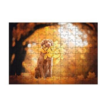 Cakapuzzle Golden Retriever Sonbahar Yaprakları 120 Parça Ahşap Puzzle