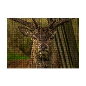Cakapuzzle Görkemli Geyik Yakın Çekim 120 Parça Ahşap Puzzle