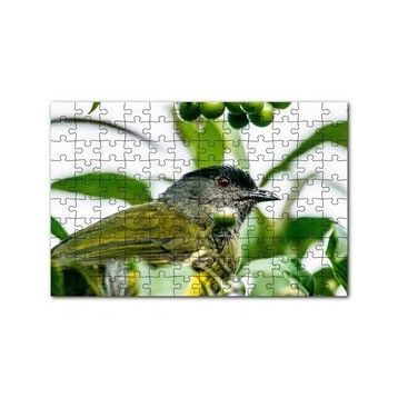 Cakapuzzle Gri Sarı Kuş ve Dalda Yeşil Meyveler 120 Parça Ahşap Puzzle
