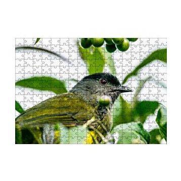 Cakapuzzle Gri Sarı Kuş ve Dalda Yeşil Meyveler 120 Parça Ahşap Puzzle