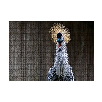 Cakapuzzle Gri Taçlı Turna Kuşu Yakın Çekim 120 Parça Ahşap Puzzle