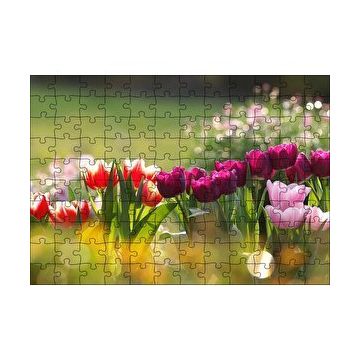 Cakapuzzle Gün Işığı Renkli Lale Bahçesi 120 Parça Puzzle