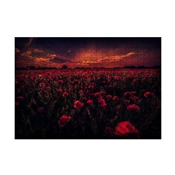 Cakapuzzle Günbatımı Gelincik Tarlası ve Kızıl Gökler 120 Parça Ahşap Puzzle
