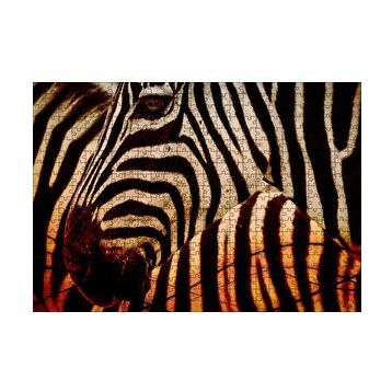 Cakapuzzle Günbatımında Zebra Desenleri Yakın Çekim 120 Parça Ahşap Puzzle