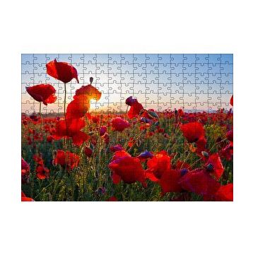 Cakapuzzle Gündoğumu Çayırda Kırmızı Gelincikler 120 Parça Ahşap Puzzle
