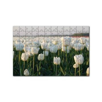 Cakapuzzle Gündoğumunda Beyaz Laleler 120 Parça Ahşap Puzzle
