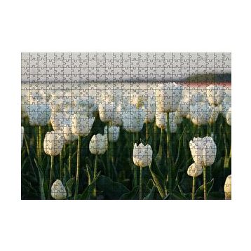 Cakapuzzle Gündoğumunda Beyaz Laleler 120 Parça Ahşap Puzzle