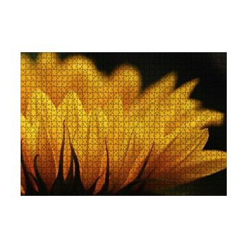 Cakapuzzle Günebakan Çiçeği Makro Çekim 120 Parça Ahşap Puzzle