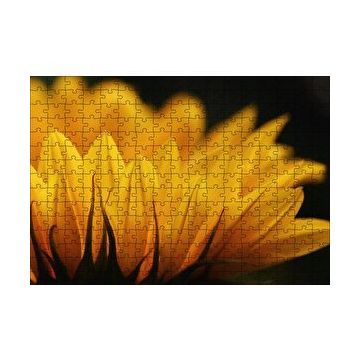 Cakapuzzle Günebakan Çiçeği Makro Çekim 120 Parça Ahşap Puzzle