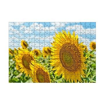 Cakapuzzle Günebakan Çiçekleri 120 Parça Ahşap Puzzle