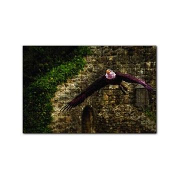 Cakapuzzle Havada Süzülen Kartal 120 Parça Ahşap Puzzle