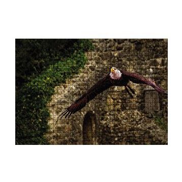 Cakapuzzle Havada Süzülen Kartal 120 Parça Ahşap Puzzle