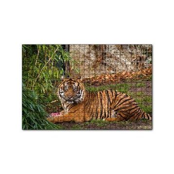 Cakapuzzle Hayvanat Bahçesinde Kaplan 120 Parça Ahşap Puzzle