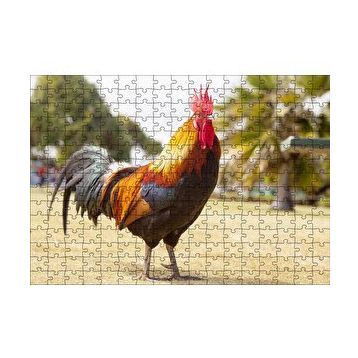 Cakapuzzle Heybetli Horoz Flu Çiftlik Arkaplan 120 Parça Ahşap Puzzle