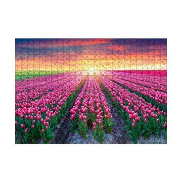 Cakapuzzle Hollanda Gündoğumunda Lale Tarlaları 120 Parça Ahşap Puzzle