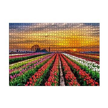 Cakapuzzle Hollandada Günbatımı ve Lale Tarlaları 120 Parça Ahşap Puzzle