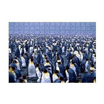 Cakapuzzle İmparator Penguenleri Mahşer Kalabalığı 120 Parça Ahşap Puzzle