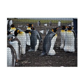 Cakapuzzle İmparator Penguenleri ve Yavru 120 Parça Ahşap Puzzle