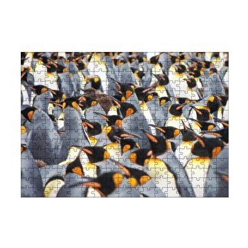 Cakapuzzle İmpataror Penguenleri Bir Arada 120 Parça Ahşap Puzzle