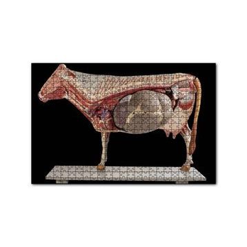 Cakapuzzle İneğin İç Organlarının Görseli 120 Parça Ahşap Puzzle