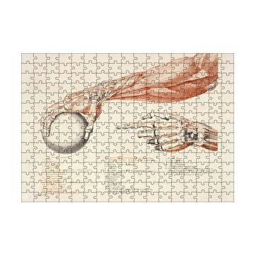 Cakapuzzle İnsan Anatomisi El Kol Görseli 120 Parça Ahşap Puzzle