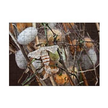 Cakapuzzle İpek Böceği Ve Kozası Görseli 120 Parça Ahşap Puzzle
