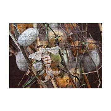 Cakapuzzle İpek Böceği Ve Kozası Görseli 120 Parça Ahşap Puzzle
