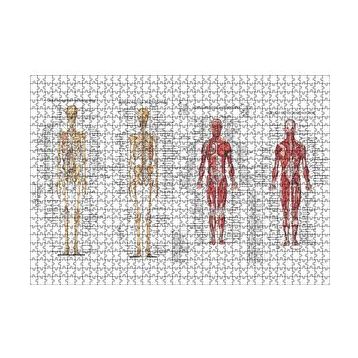 Cakapuzzle İskelet Kas Sistemi Çizimi Ve İsimlendirmesi Görseli 120 Parça Ahşap Puzzle