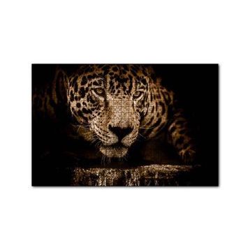 Cakapuzzle Jaguar Pusuda Yakın Plan 255 Parça Puzzle