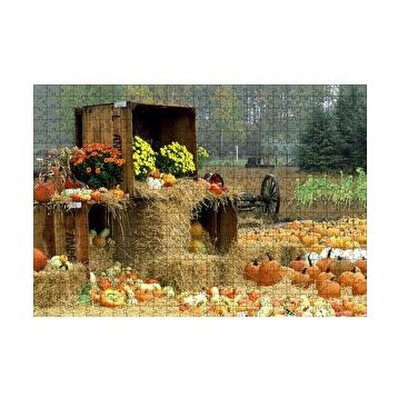 Cakapuzzle Kabaklar Samanlar ve Kasalar 120 Parça Ahşap Puzzle