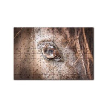 Cakapuzzle Kahverengi Atın Gözü Yakın Çekim 120 Parça Ahşap Puzzle